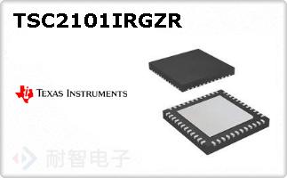 TSC2101IRGZR